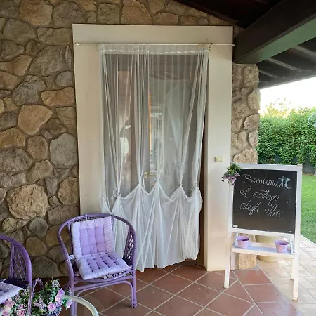 In Degli Ulivi Apartment