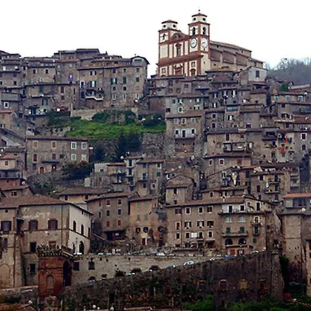 In Degli Ulivi Apartment